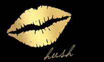 Hush Labs logo